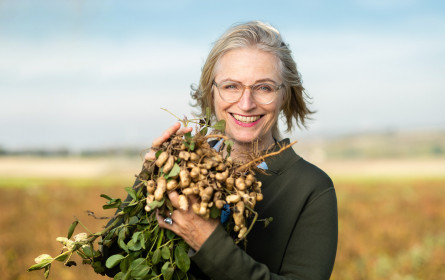 Österreich-Premiere zu Nikolo: Ja! Natürlich Bio-Erdnüsse aus dem Weinviertel