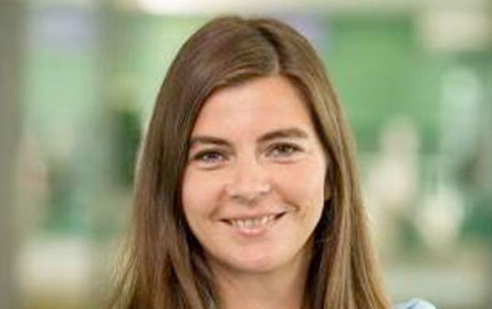 Die Region Tulln  ist in  bester Weihnachtsstimmung