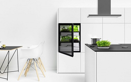 Miele übernimmt insolventen Gewächsschrank-Hersteller