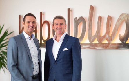 kabelplus schenkt seinen Kunden eine neue Website zu Weihnachten