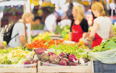 Die neue Plattform für regionale Produzenten