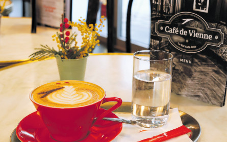 Wiener Lebensgefühl kehrt in Paris ein