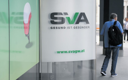 Teure Berater für Reform