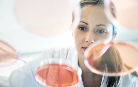 Forschung an Digitalisierung