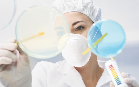 Pharmabranche gibt sich optimistisch für 2019