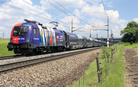 Auffallend vielfältig