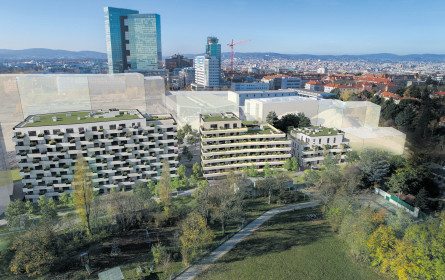 Wiener Wohnungsmarkt bleibt unentspannt