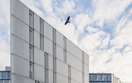Austro-Markt im europäischen Fokus