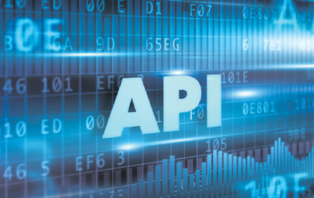 Die schöne neue Welt der API