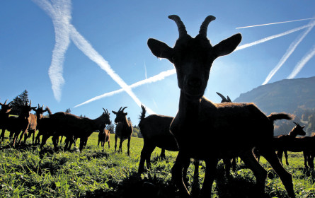 Ein echter Geheimtipp, nicht nur zu Ostern