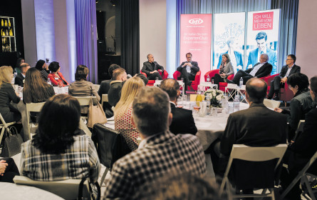 Weil ein Elefant nicht klettern kann