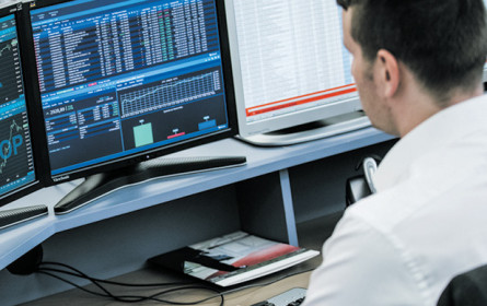 Langfristig gute Erträge