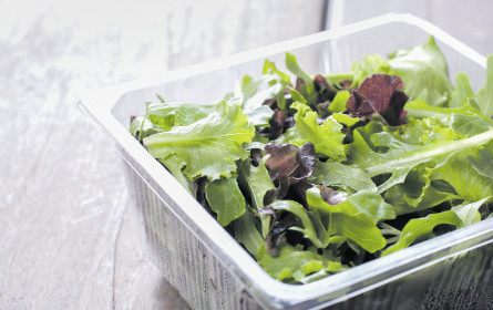 In den Salaten regiert der Keim