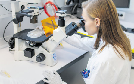 33 Millionen für Start-up