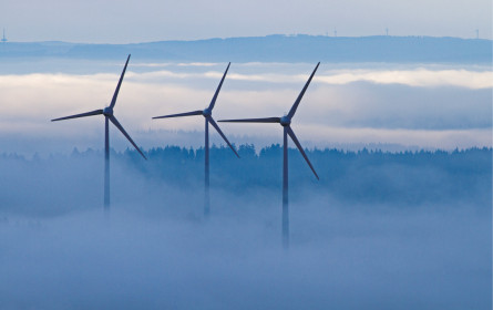 Flaute statt kräftiger, frischer Brise