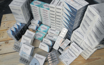 Rekord bei Fälschungen