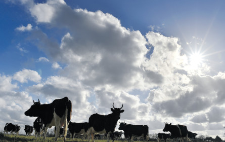 Ist die Milch schon sauer?