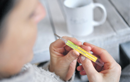 Grippe-Saison ist zu Ende