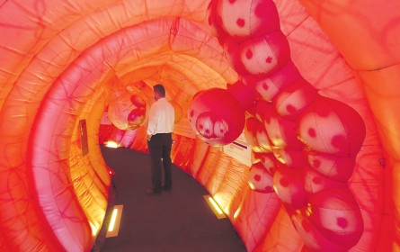 Unser Darm als Zentrum