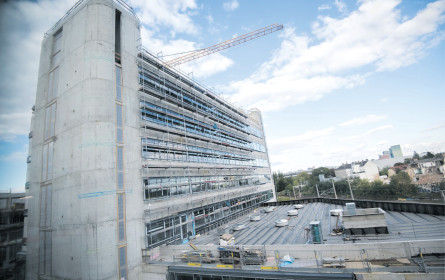 Boehringer wächst von Wien aus stark