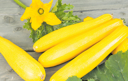 Beet-zaubernder Genuss