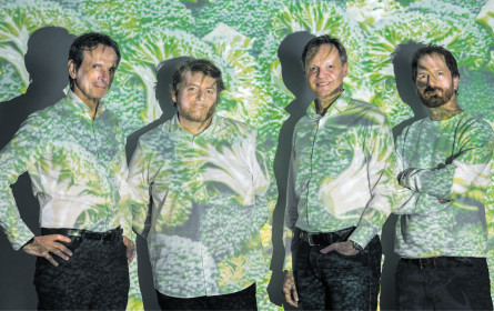 Alte Branchenhasen in neuer Konstellation