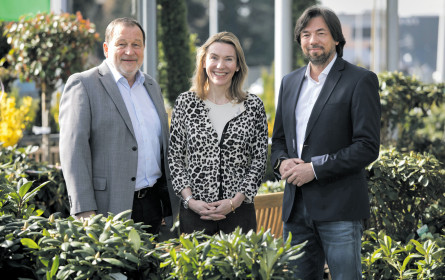 Neue grüne Nummer 1