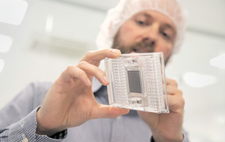 DNA-Test bei Versicherung