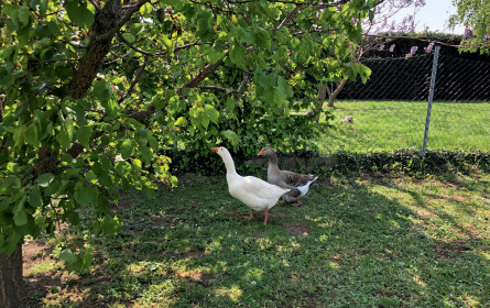 Der kleine Ratgeber: Nachhaltig einkaufen