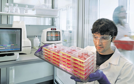 Bayer kooperiert mit Roche