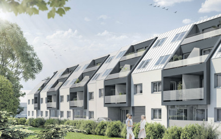 Big Deal für die Haring Group 