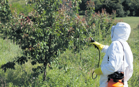 Klimawandel ist Gesundheitsrisiko