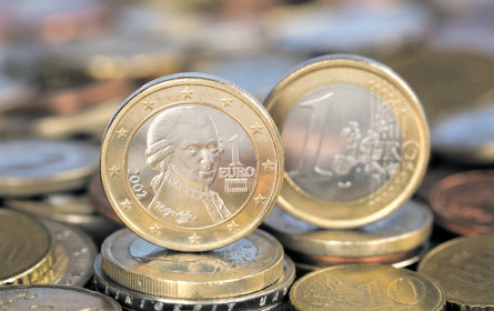 Die heimlichen Wertschöpfungsmeister