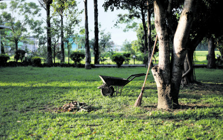 Verantwortungsvoll und nachhaltig gärtnern