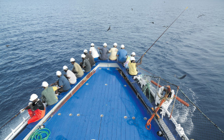 Rio Mare hilft mit, den Ozean zu retten