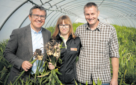 Kräftebündelung trägt Früchte