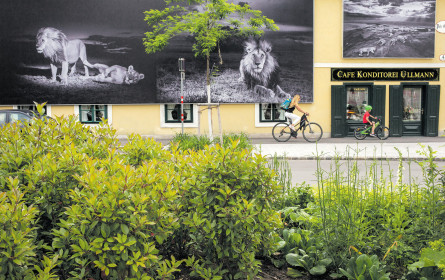 Eine Hymne an die Erde