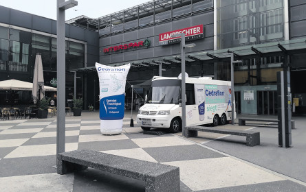 Die Marktschreier der Gegenwart