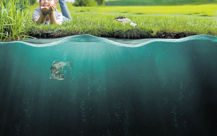 Hofer baut den Wasserschutz aus