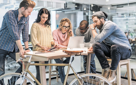 Und wächst und wächst …