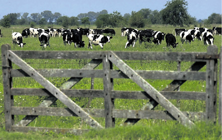 Österreich sagt Nein zu Mercosur