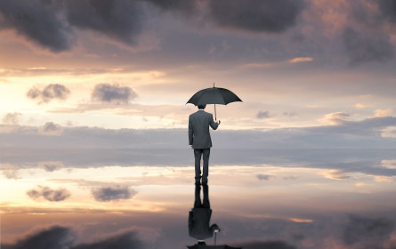 Analyse: Assekuranzen haben den Blues