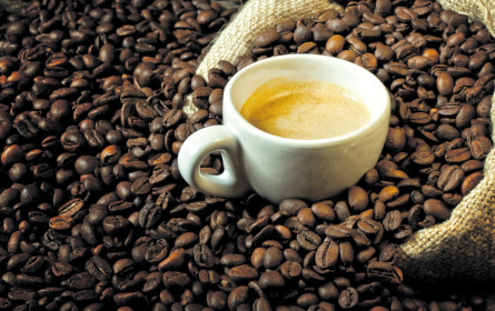 Von frischen Bohnen und eiskaltem Cold Brew