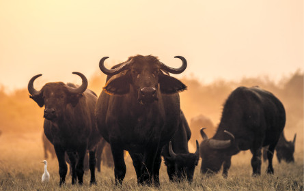 200 Stunden Terra Mater