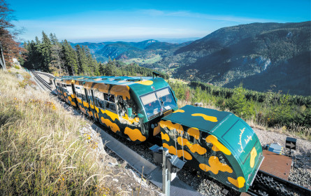 Diese gelbe Karte kann Ihr Ausflugsverhalten ändern