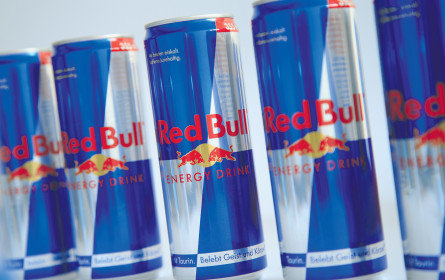 Österreichs Exportkaiser