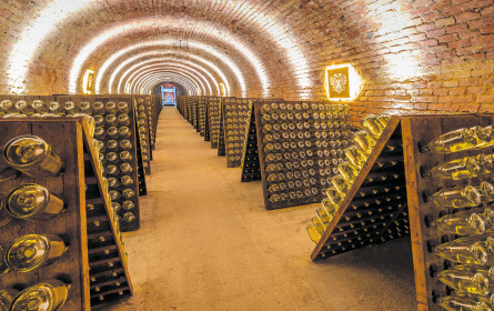 Der Sekt ist gekühlt, die Kellertür offen