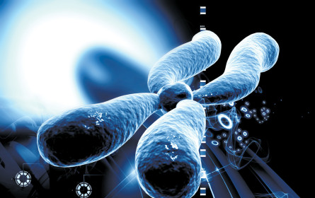 Die nächste Evolutionsstufe