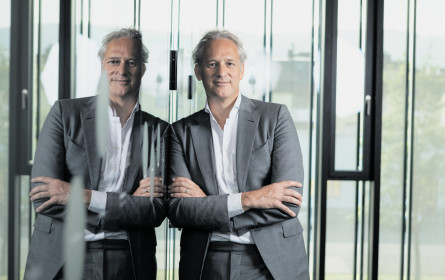 David braucht Goliath – und auch vice versa