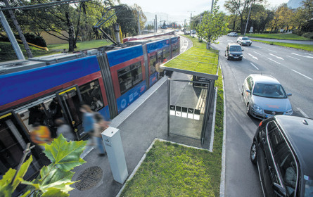 Begrünte Wartehäuschen